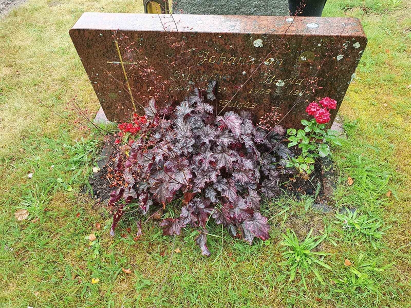 Grave number: Å G   184