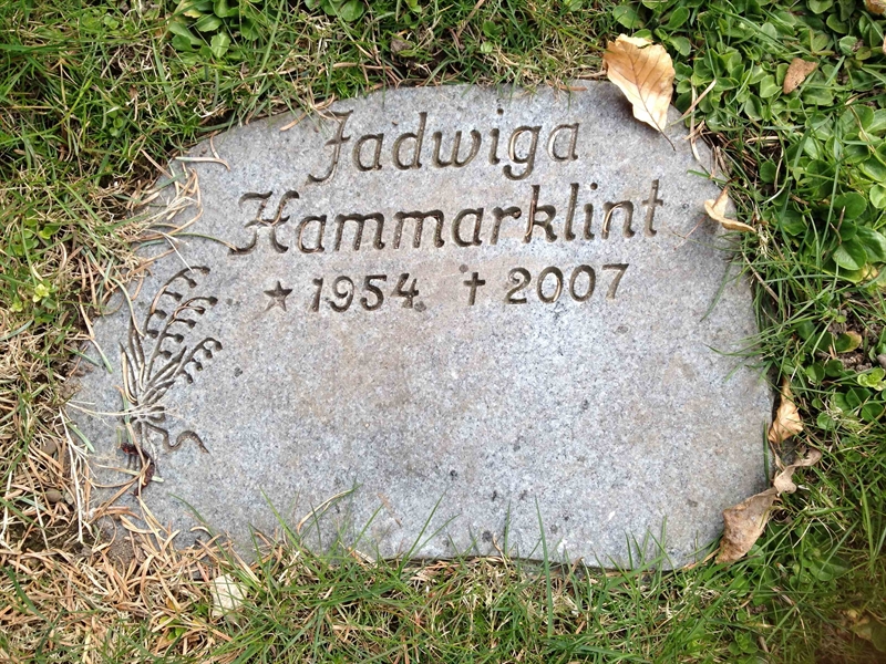 Grave number: 1 4 AGP    11