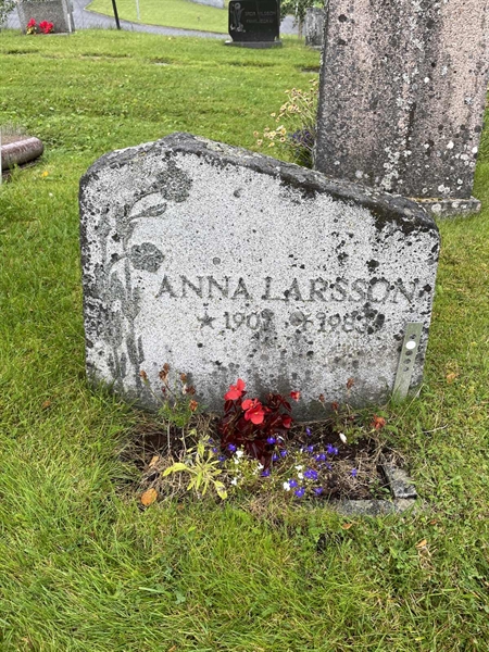Grave number: MV II    37