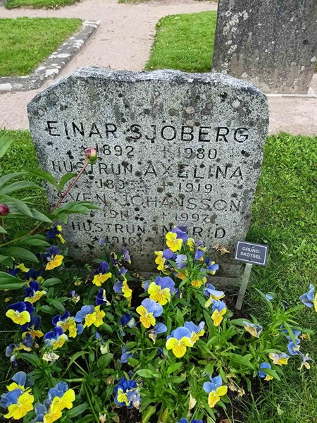 Hautatunnus: 1 S     3V