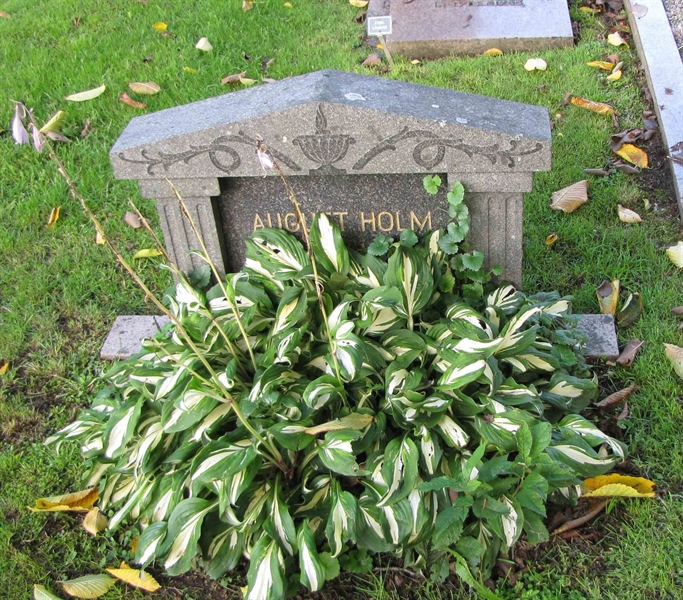 Grave number: HG SVALA   693, 694