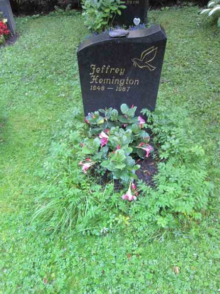 Hautatunnus: 1 F   195