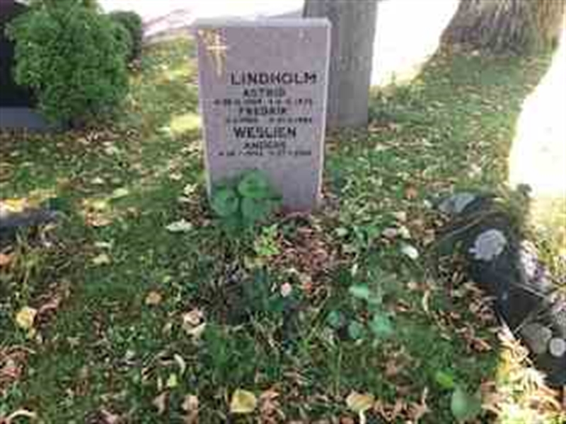 Hautatunnus: 1 E    52