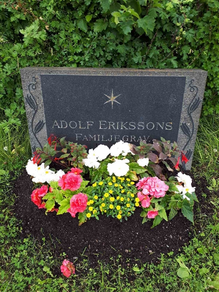 Gravnummer: GK F 5   497