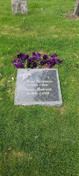 Grave number: 3 Nya K    43