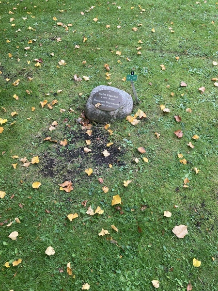 Grave number: 1 3 L1    45