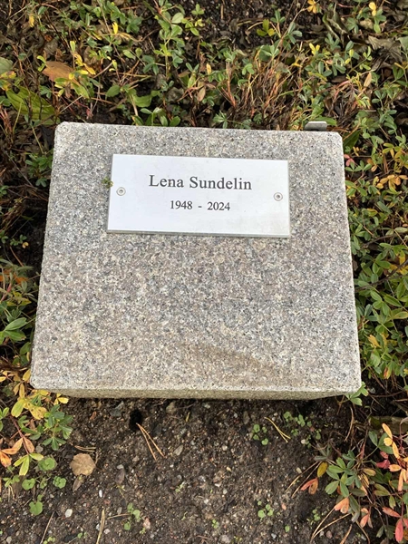 Gravnummer: 2 B     7