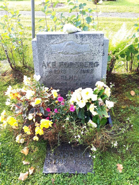 Hautatunnus: NK F C    42-44