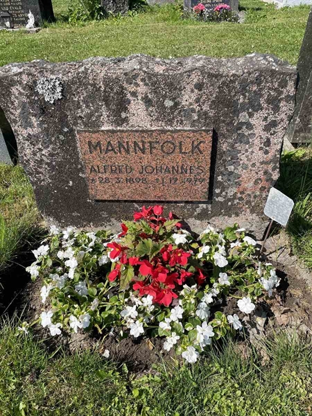 Hautatunnus: N 5 2   218