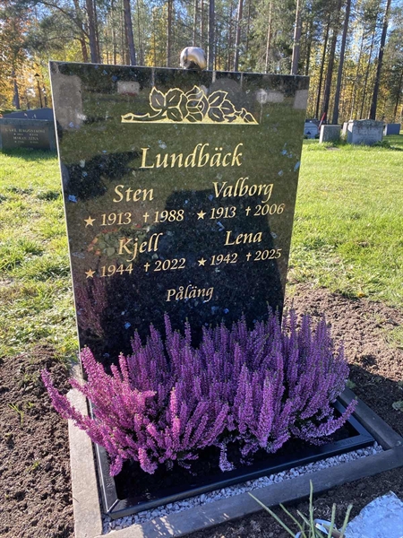 Grave number: 3 02 63