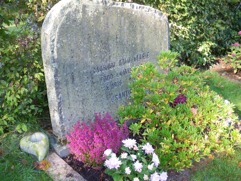 Grave number: SB 24     2B