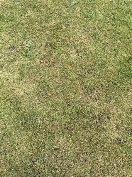 Grave number: SKF E   147, 148