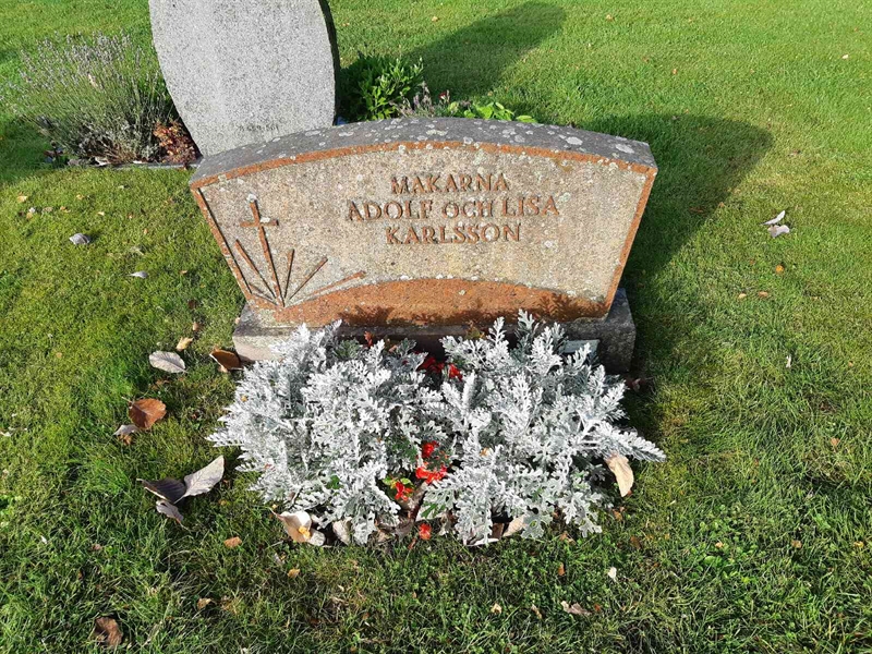 Hautatunnus: Fr 8   582-583