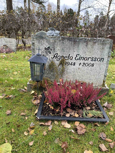 Grave number: 1 29     51