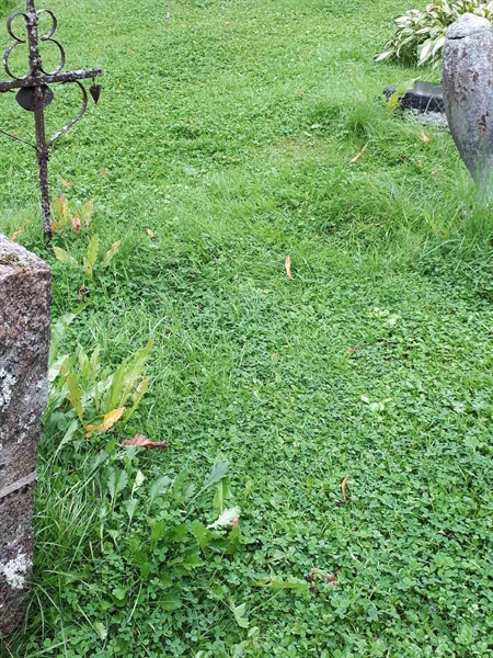 Hautatunnus: GK A 4   232V