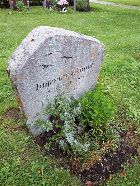 Gravnummer: NK F D   289