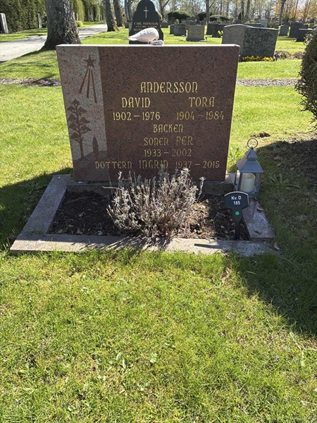 Gravnummer: 22 D   185