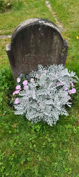 Grave number: M S   79a