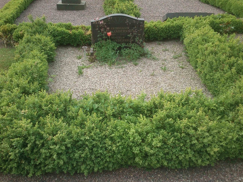 Grave number: VK M    35