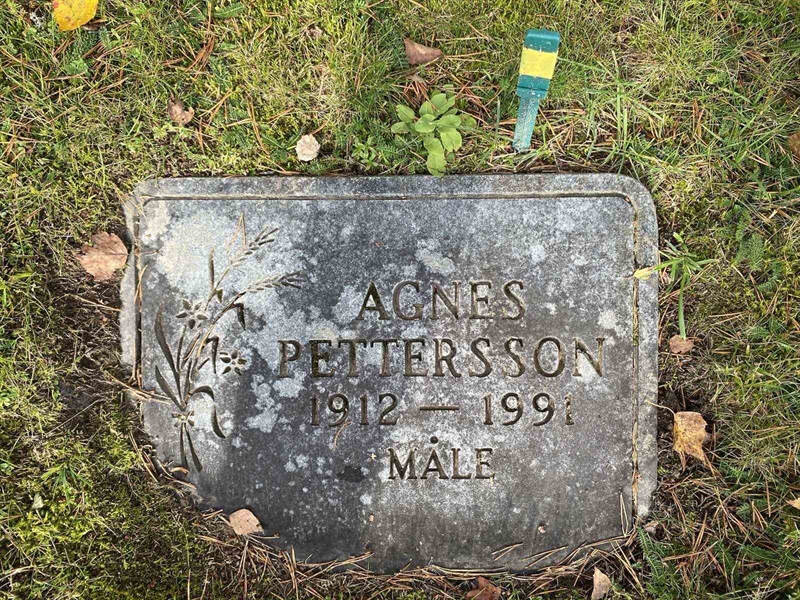 Hautatunnus: 1 22    176