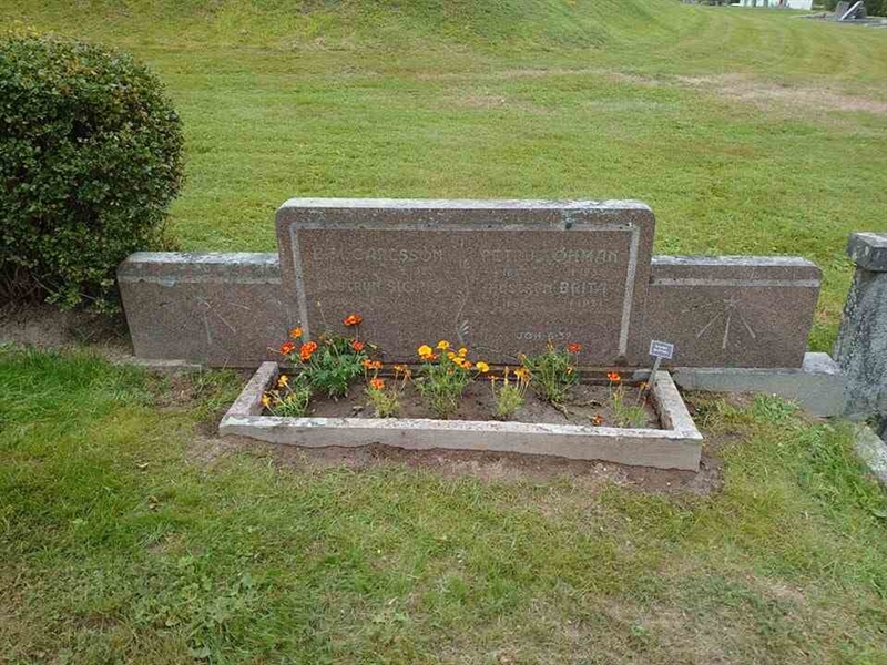 Hautatunnus: 551 I   494