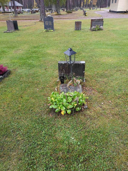 Hautatunnus: VLM 13    38