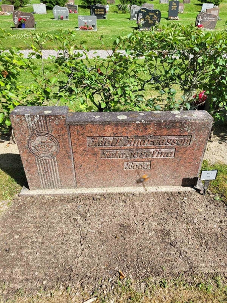 Grave number: Jä 01   111