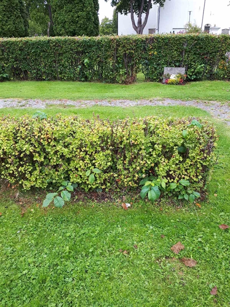 Hautatunnus: NK F G   159