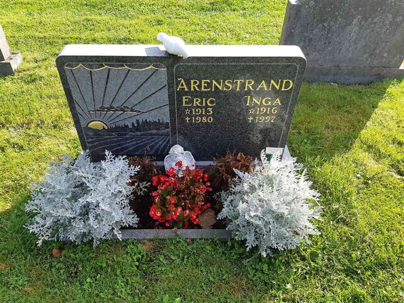 Hautatunnus: Fr 8   446-447