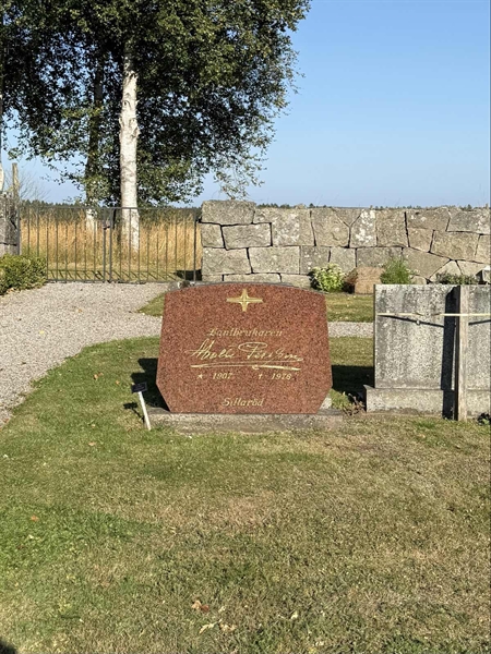 Gravnummer: AN D    45