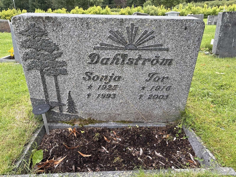 Hautatunnus: SÄ NYA   482-483