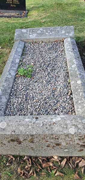 Grave number: SG 02   354