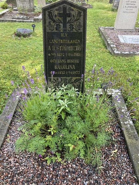 Grave number: 1 03    71
