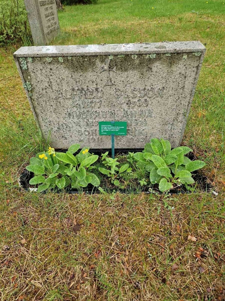 Grave number: 1 NE    79