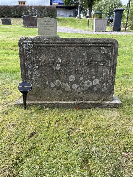 Grave number: T A D   817
