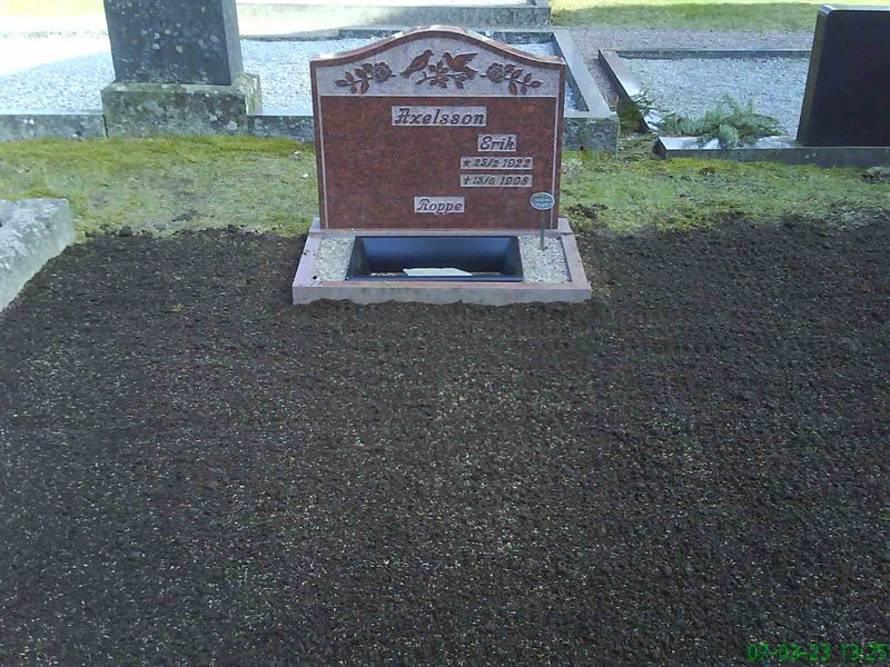 Grave number: FÖ FÖ 1115