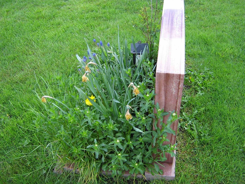 Hautatunnus: ÖK 04    785-786