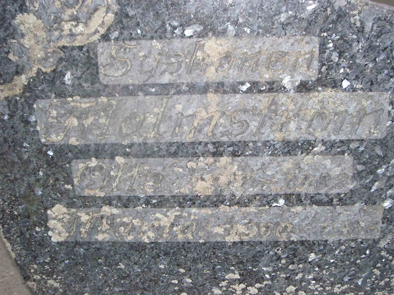 Hautatunnus: 451 01 131
