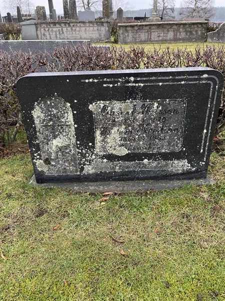 Hautatunnus: Vårv Kv3 269+267
