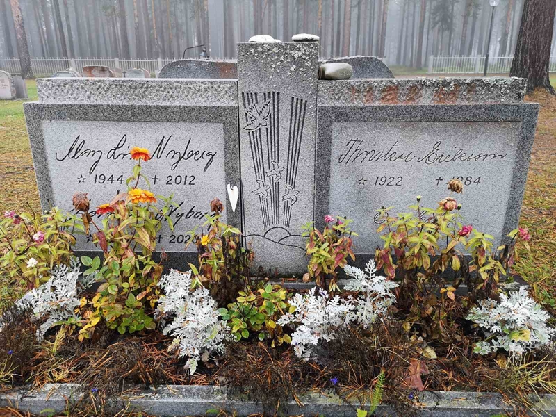 Hautatunnus: VLM 14    44-46