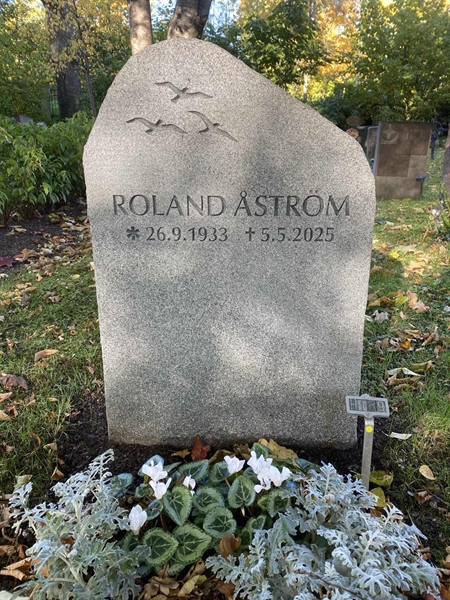 Hautatunnus: 1 H   159