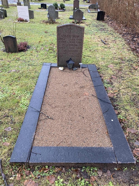 Grave number: 1 P   113