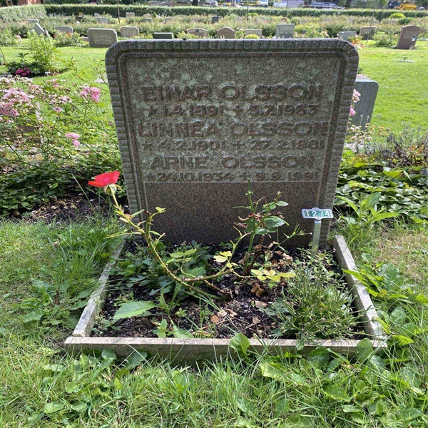 Hautatunnus: 1 T   274