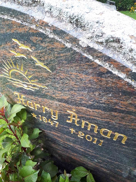 Hautatunnus: NK F D   297