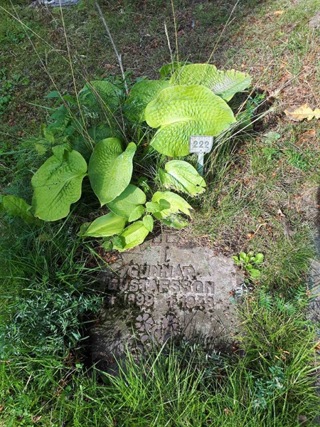 Gravnummer: NK A A   222