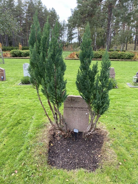 Hautatunnus: 2 C    71-72