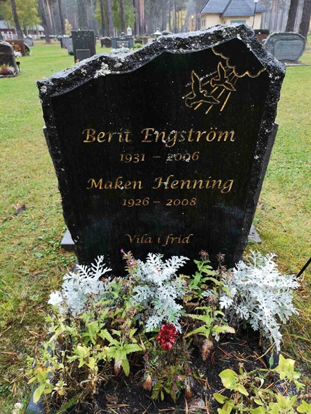 Hautatunnus: VLM 13   105-106