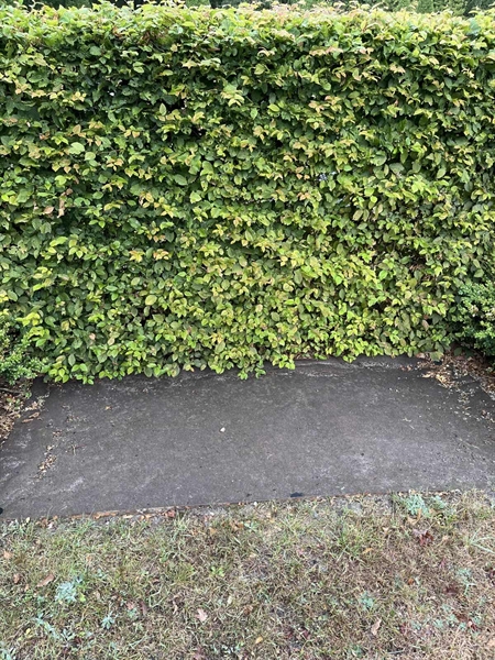 Grave number: NK XIV     4