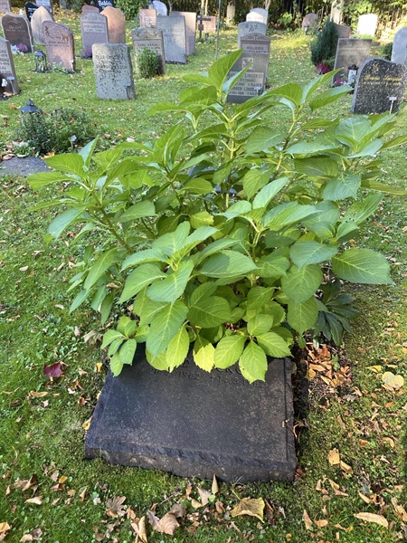 Hautatunnus: 1 H   489