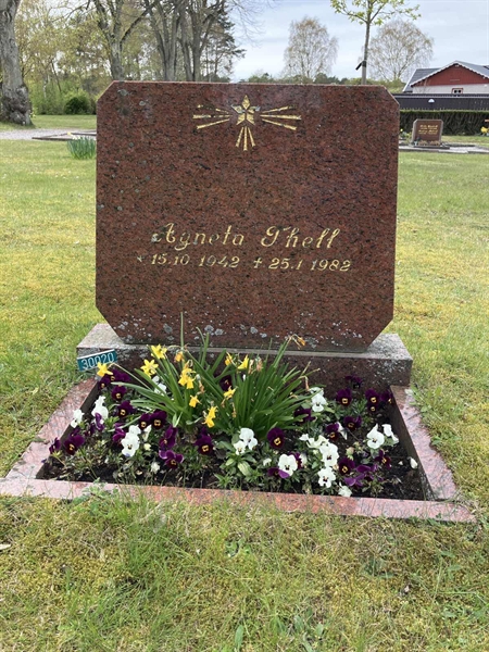 Grave number: NÅ 30    54